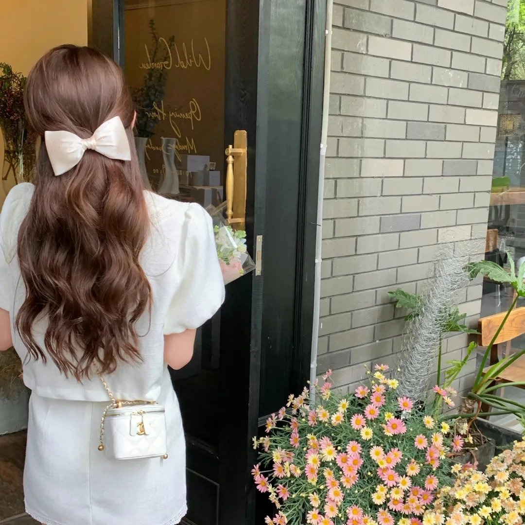 二呆流浪记之完全大人手册